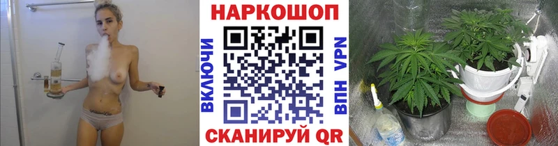 Галлюциногенные грибы Саянск