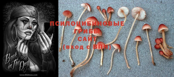 альфа пвп Верея