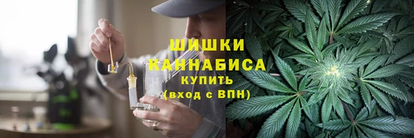 ПСИЛОЦИБИНОВЫЕ ГРИБЫ Верхнеуральск