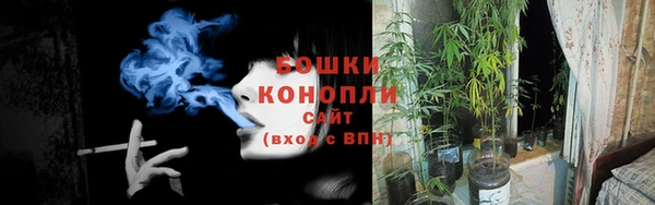 ПСИЛОЦИБИНОВЫЕ ГРИБЫ Верхнеуральск