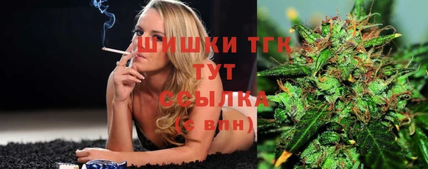 ПСИЛОЦИБИНОВЫЕ ГРИБЫ Верхнеуральск